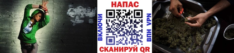 Бошки Шишки марихуана  Бирюч 